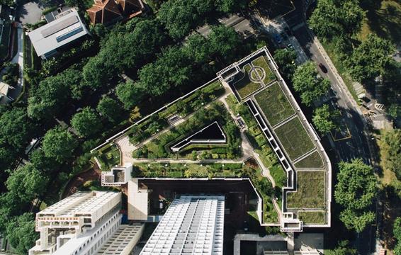 TECHOS VERDES, O CÓMO AHORRAR CON JARDINES EN LA AZOTEA