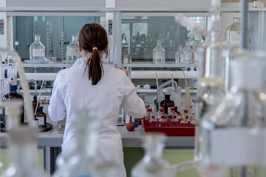 Laboratorio Mutaxio: el futuro de los materiales de origen biológico