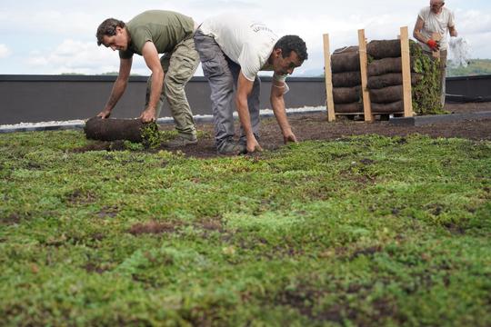 El cambio climático y la importancia de la descarbonización