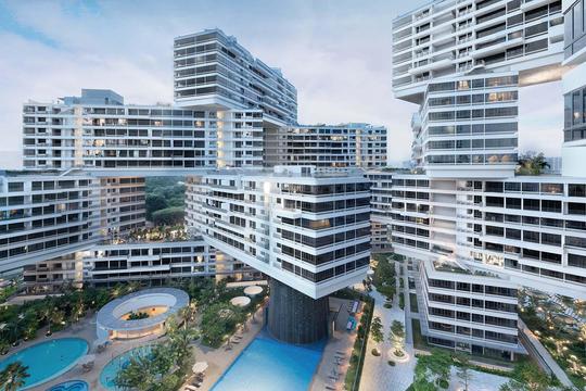 The Interlace