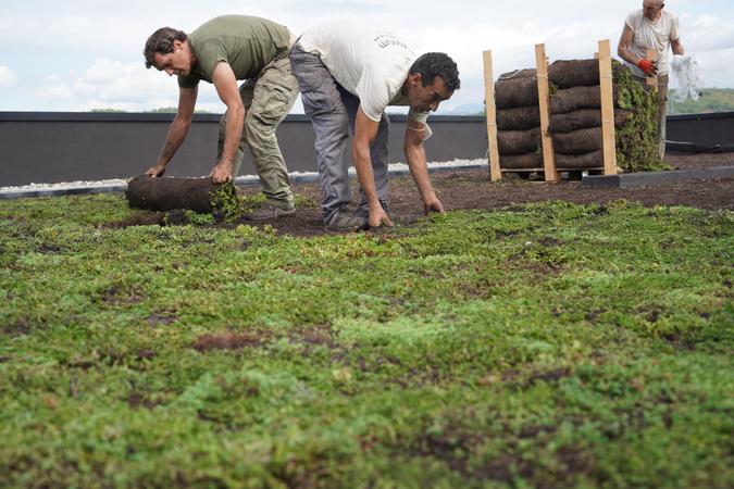 El cambio climático y la importancia de la descarbonización
